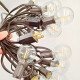【Z區】G40 LED 塑膠&玻璃燈串 (贈1顆備用燈泡)